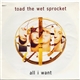 Toad The Wet Sprocket - All I Want