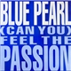 Blue Pearl - (Can You) Feel The Passion