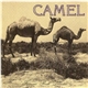 Camel - Famous Rock Dreams